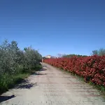 Absolute Privacy *