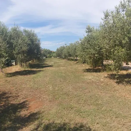 Vila Absolute Privacy *